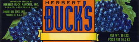 Herbert Buck s